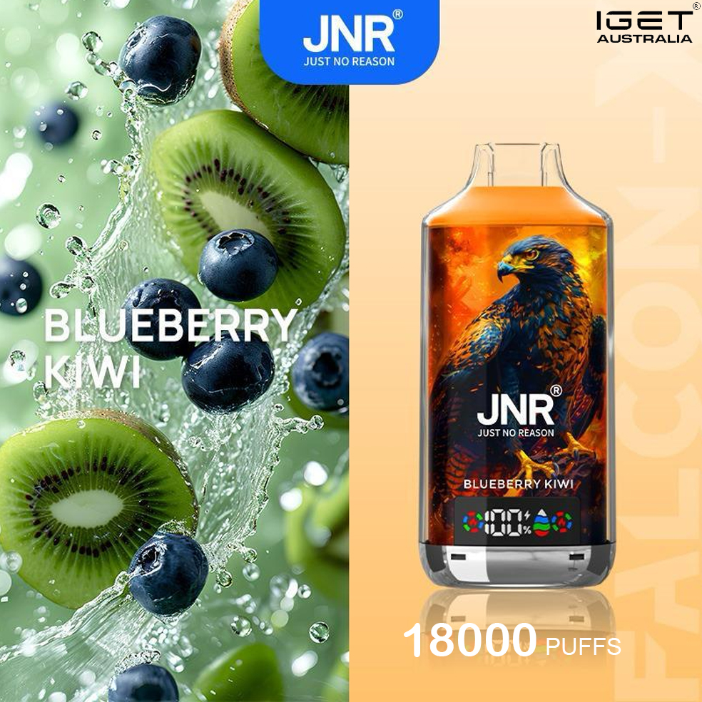 JNR FALCON -X BLUEBERRY KIWI – 18000 PUFFS
