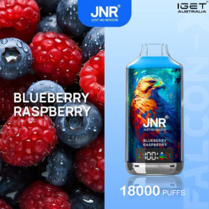 JNR FALCON -X BLUEBERRY RASPBERRY – 18000 PUFFS