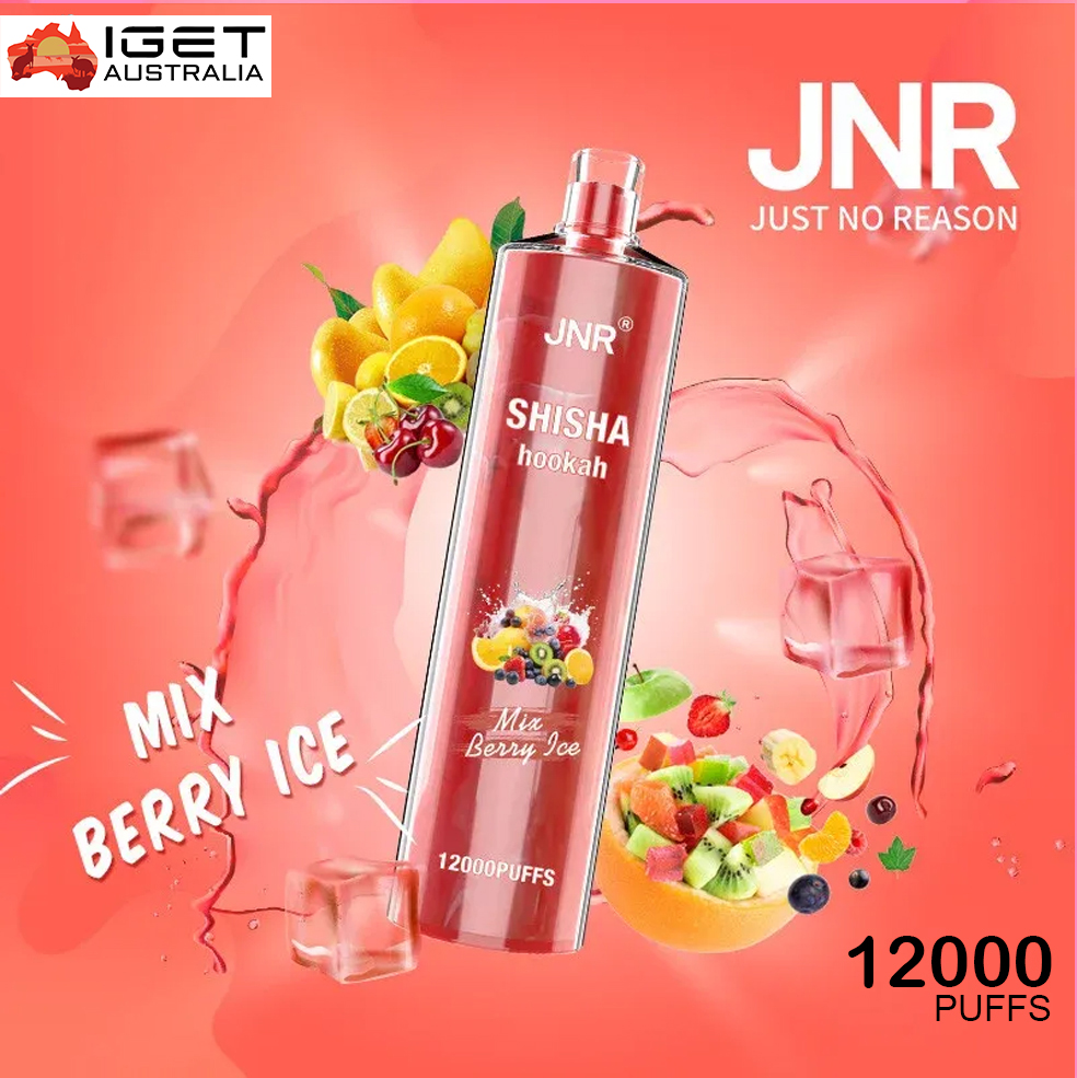 JNR SHISHA HOOKAH – MIX BERRY ICE – 12000 PUFFS